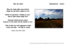 Über die Heide-Storm.pdf